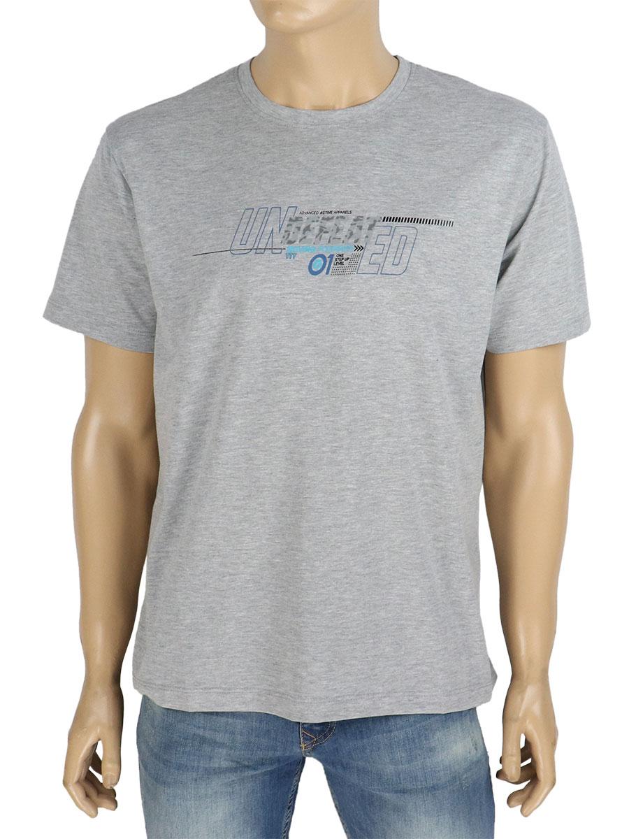 Бавовняна сіра чоловіча футболка Turhan 403 M.Gri, фото 1