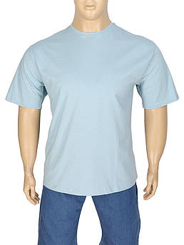 Чоловіча блакитна футболка Zinzolin Z-4225 Blue