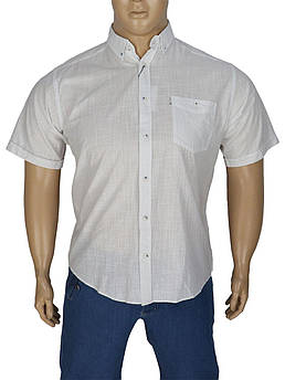 Турецька літня чоловіча сорочка Barcotti A:0140-01