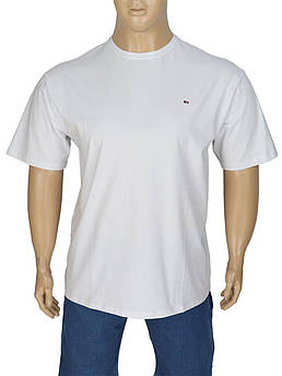 Біла футболка великого розміру Zinzolin Z-3724 White для чоловіків