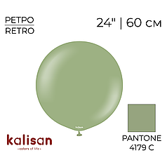 KALISAN-КЛ 24" 43 Ретро Евкаліпт | Retro Eucalyptus
