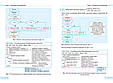 НУШ Інформатика. Python у задачах і прикладах 8-11 кл. Руденко Г.Г. Ранок, фото 3