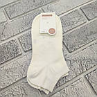 Шкарпетки жіночі короткі весна/осінь р.37-42 рубчик асорті КОРОНА 30039489, фото 2