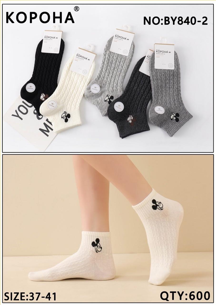 Жіночі шкарпетки короткі з бавовни з гумкою теніс КОРОНА.COALO, LACTAN 36-41 BY840-2