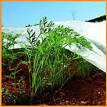 Агроволокно 23 г/м2 3.2х5 метрів білий пакетований покривний матеріал, фото 5