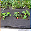 Агроволокно 42 г/м2 1,6х10 метрів пакетоване чорне, фото 6