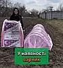 Парник 10 м 100 мкм із плівки Shadow мінітеплиця, фото 8