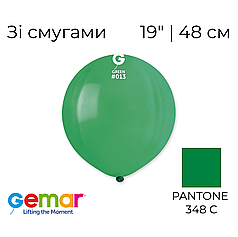 GEMAR-ДЖ 19" G150 013 Пастель Зелений | Standard Green