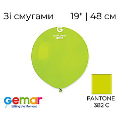 GEMAR-ДЖ 19" G150 011 Пастель Салатовий |  Standard Light Green