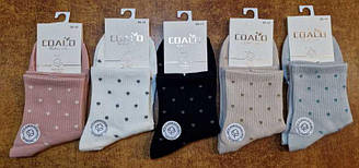 Шкарпетки жіночі демісезонні середні (розмір 36-41)