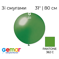GEMAR-ДЖ 31" GM220 037 Металік Зелений | Metallic Green