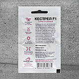 Буряк Кестрел F1 200 шт насіння пакетоване Спектр Сад, фото 2