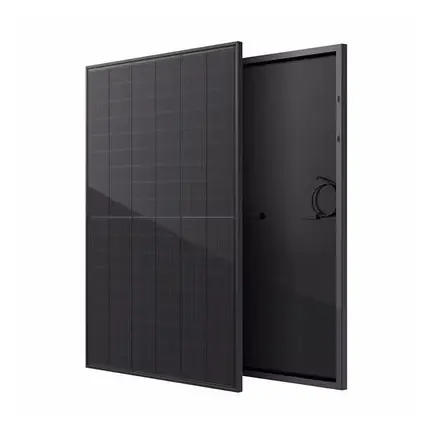 Сонячна батарея Risen Energy RSM108-10-435NDGB (full black), фото 1