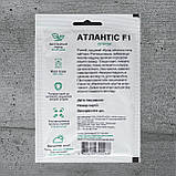 Огірок Атлантіс F1 50 шт насіння пакетоване Спектр Сад, фото 2