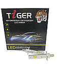 Tiger LED F8 H1 світлодіодні лампи, фото 7