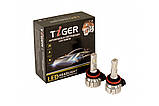 Tiger LED F8 H11 світлодіодні лампи, фото 3