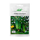 Огірок Соната F1 Rijk Zwaan/Нідерланди 20 шт., фото 6