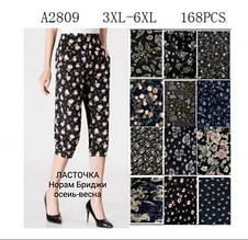 Жіночі бриджі ластівка матеріал бавовна розмір 3-6хл мікс кольору в пакованні від 12 шт.