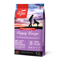 Orijen (Оріджен) Puppy Large сухий корм для цуценят великих порід із курчам, індичкою й камбалою