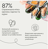 Смаколік для собак Savory для собак для здоров'я шкіри та шерсті з лососем, фото 5