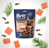 Ласощі Brit Premium Semi-moist Snacks Salmon with Dill напіввологі для cобаків із лососем і укропом 180 г, фото 3