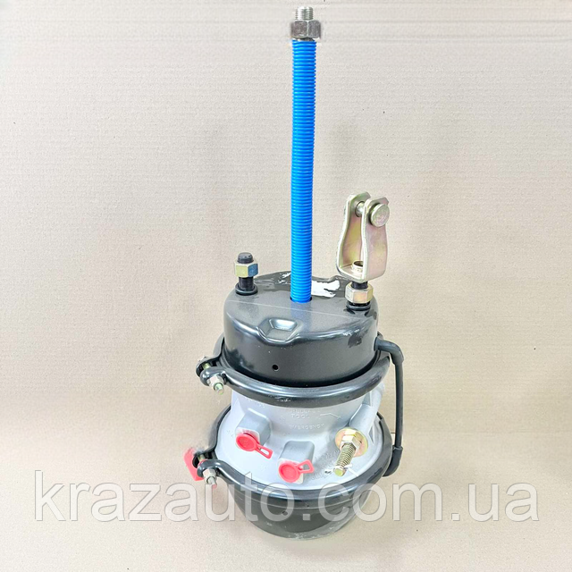 バンギラス様　確認用 バンギラスGX 099/095 SR｜ポケカシングルカード通販｜Cloveストア