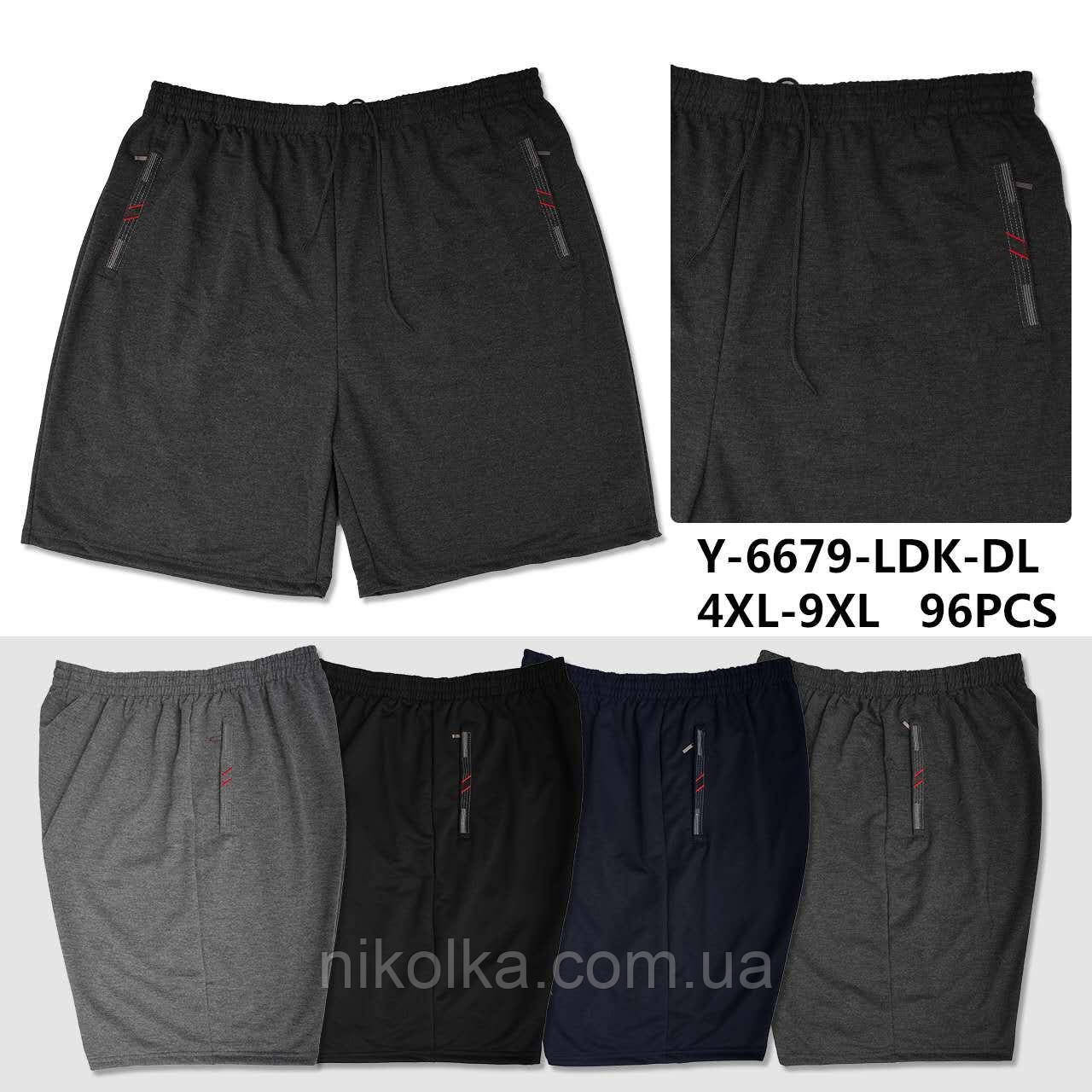 Шорти чоловічі оптом, 4XL-9XL рр., арт. Hay-Y-6679, фото 1