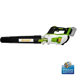 Акумуляторні пилососи-повітродувки