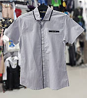 Школьная детская серая рубашка короткий рукав для мальчика 9-11л, подростковая шведка на каждый день в школу