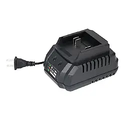 Зарядний пристрій Forte СН-2F