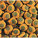 Корм для риб Tetra Pleco Veggie Wafers 250ml, фото 2