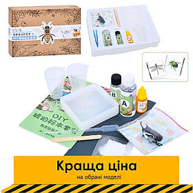Набір для творчості Комаха (пінцет, фарба, рідина, що застигає, склянки, в коробці) FG231102006M Акція до 25.05