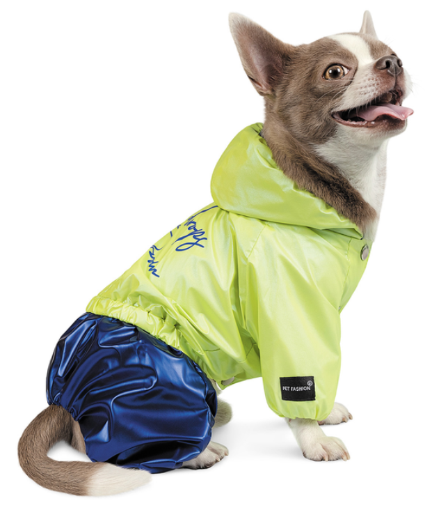 Дощовик для собак Pet Fashion PULSE синій з зеленим 29 см | водовідштовхуючий з каптуром і отвором для повідця