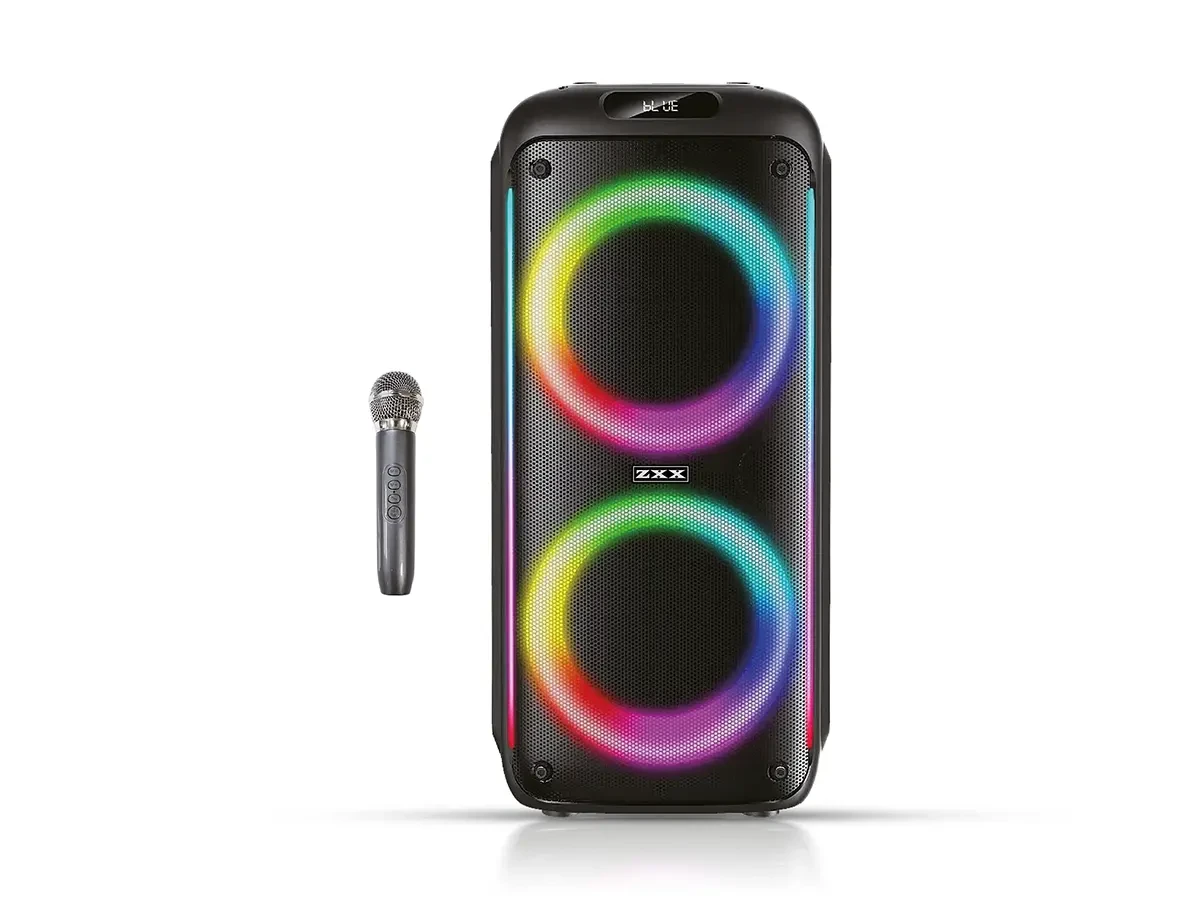 Акустическая переносная колонка ZXX-5504 1000Вт 2x6,5