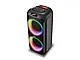 Акустична переносна колонка ZXX-5504 1000Вт 2x6,5" 240х235х545мм TWS/FM/USB/TF/BT/LED/REC/MIC 1шт 6438, фото 4