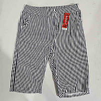 Бриджі жіночі оптом, M-2XL рр., арт. Hay-NQF5652, фото 2