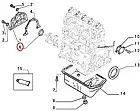 Сальник коленвала перед Fiat Ducato 230, Peugeot Boxer, Citroen Jumper (1994-2002) 1.9 (1905), 032622, фото 4