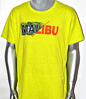 Футболка  Astrolabio  футболка чоловіча, Розмір: XL, L, XXL, S, M (MD)