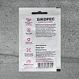 Буряк Бікорес 200 шт насіння пакетоване Спектр Сад, фото 2