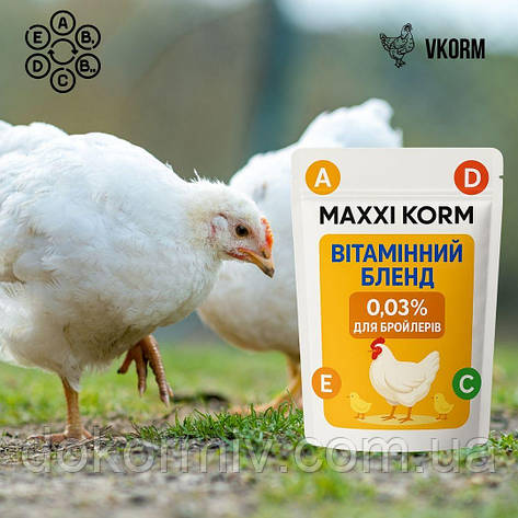 Вітамінний комплекс 0,03% для бройлерів – Приріст, імунітет, результат!, фото 1