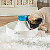 Фонтан-поїлка для котів і собак Beacon Pet 3L з фільтрацією та циркуляцією води з насиченням активним киснем, фото 4