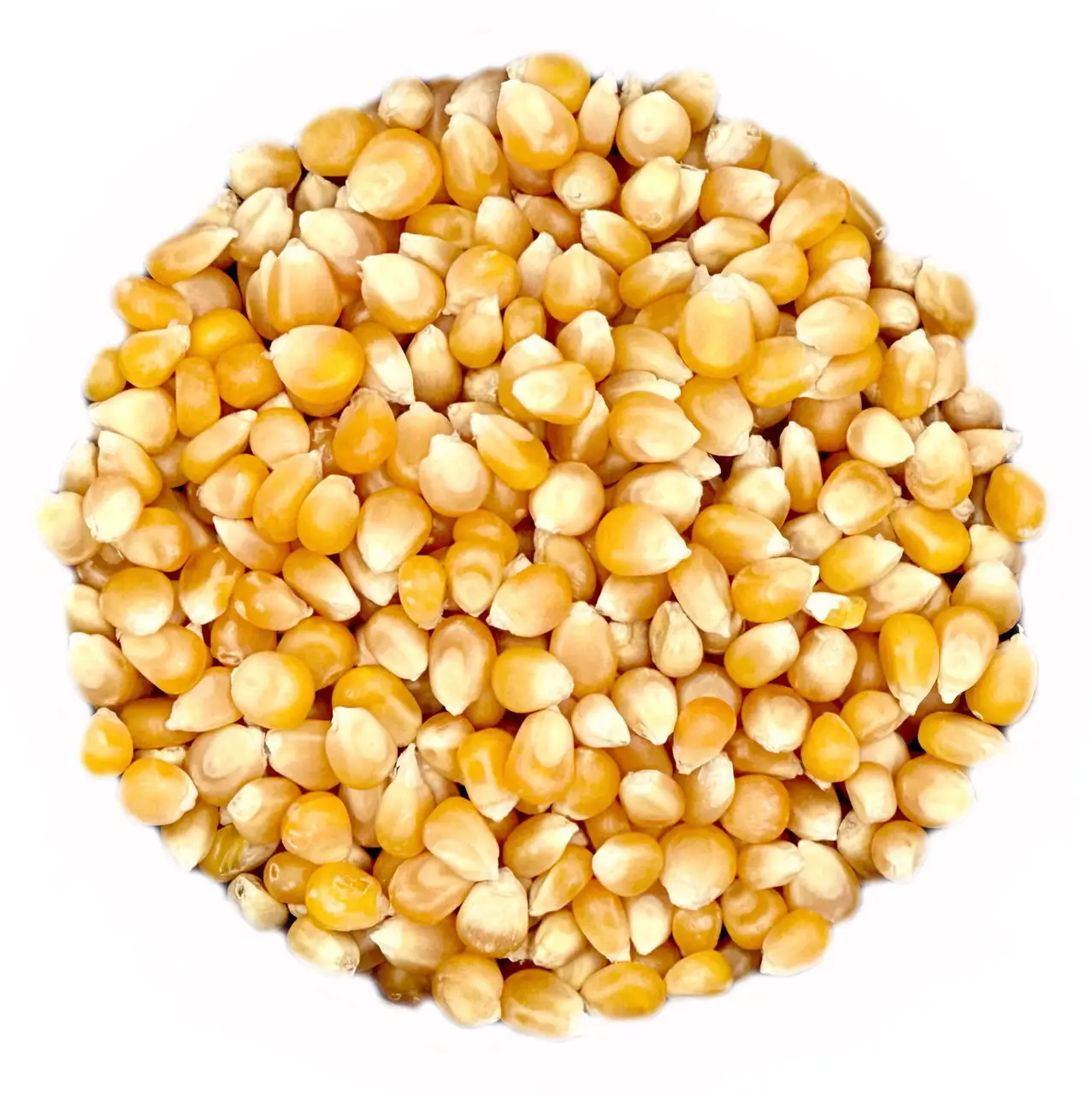 Кукурудза попкорн, 500 г, фото 1