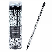 Олівець простий з гумкою Axent 9009-19 Black Leaves круглий