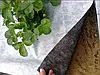 Агроволокно 50 г/м2 1.60 х 50 м. чорно-біле "Shadow" (Чехія), фото 8