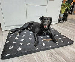 Лежак для собак 100X70см  PURLOV 24862
