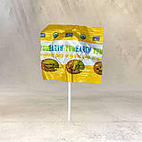 Фруктові льодяники на паличці "YumEarth", фото 4