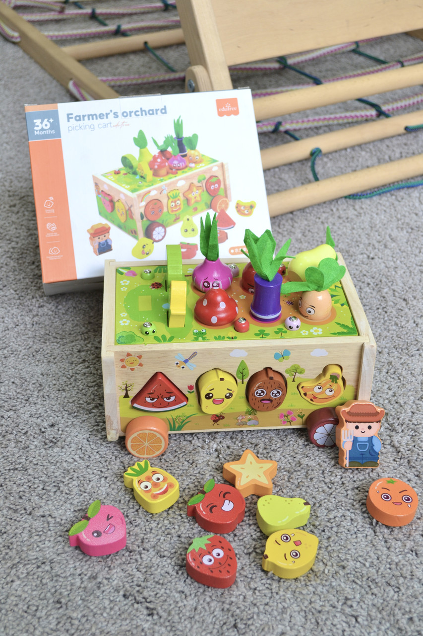 Дерев'яна логічна гра Cортер-каталка 71010, фото 1