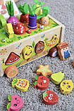Дерев'яна логічна гра Cортер-каталка 71010, фото 5