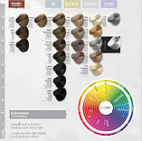 Крем-фарба для волосся Team 155 Color Cream, фото 5