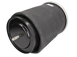 Пневмоподушка з мет. склянкою Renault 4912NP07 5010294307